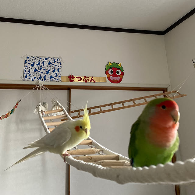 toratanさんの部屋