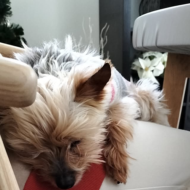 coco0.84.さんの部屋
