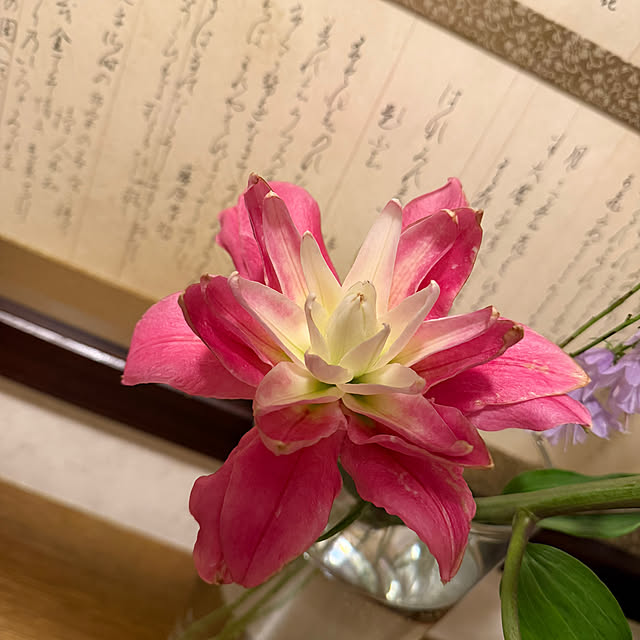 mamizaさんの部屋