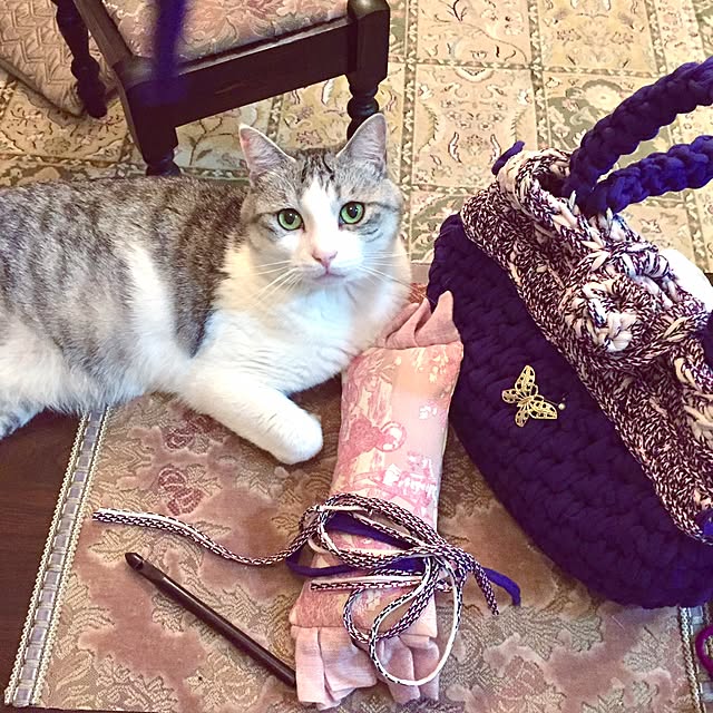 emmyyさんの実例写真