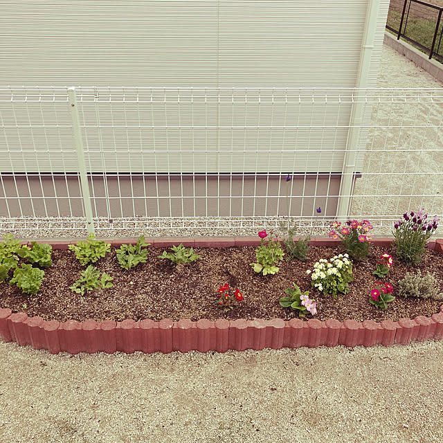 Sweetpeaさんの実例写真