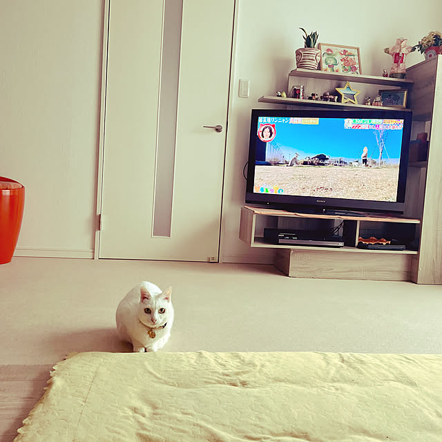 Maiさんの部屋