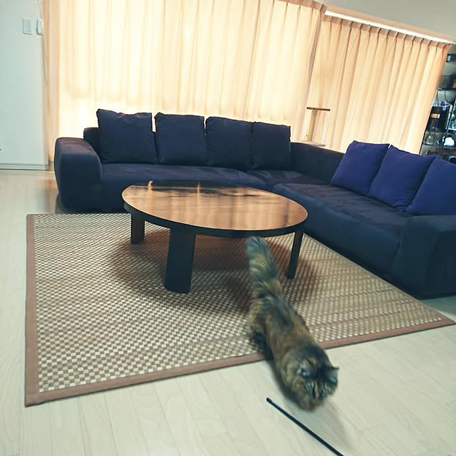 nekomajinさんの実例写真