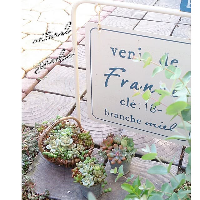 chachamaruさんの実例写真