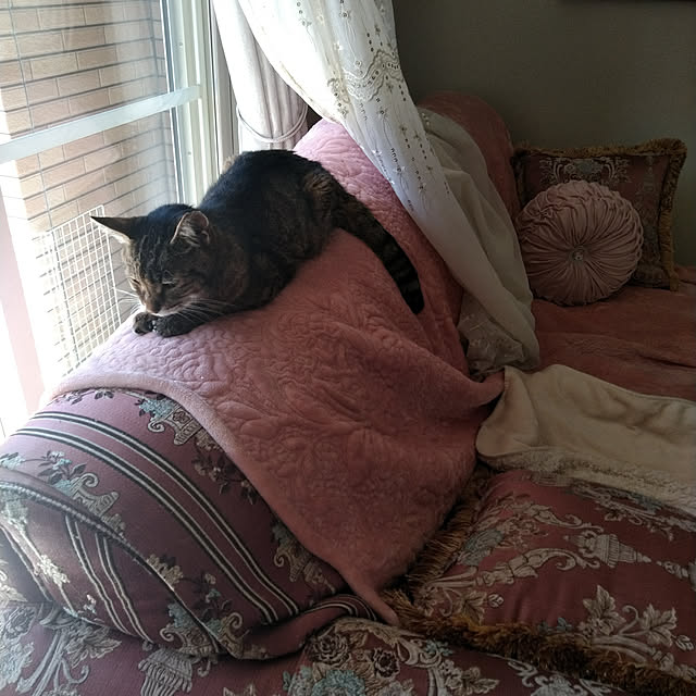 lilyさんの実例写真