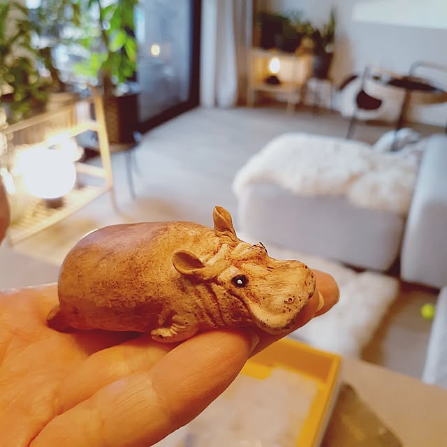 noahさんの実例写真