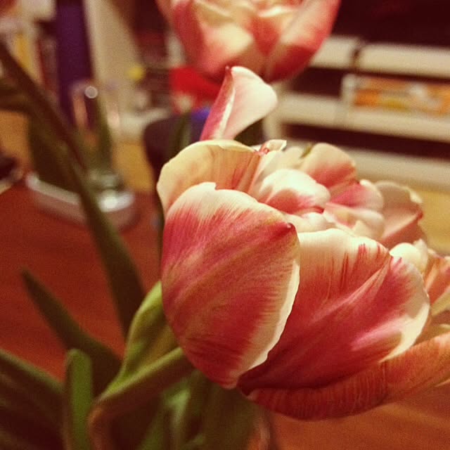 Kunlunflower297さんの実例写真