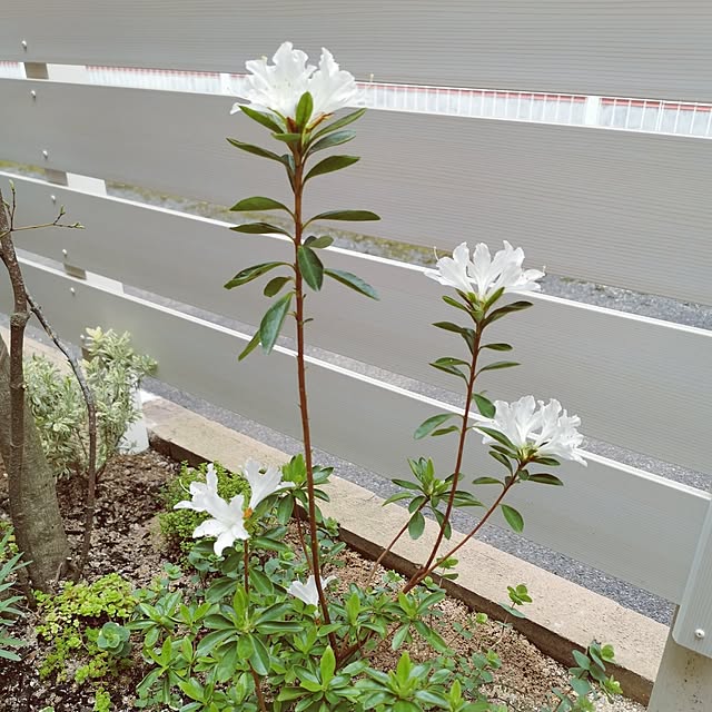 monchanさんの部屋