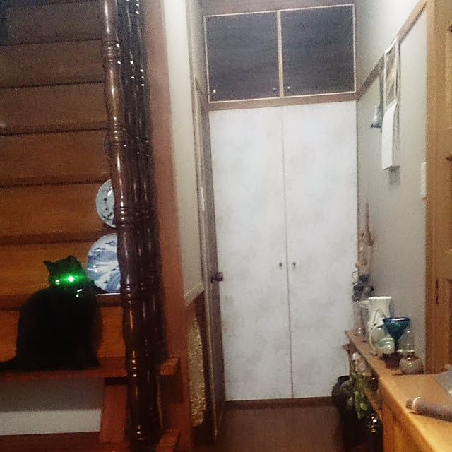 junkn6さんの実例写真