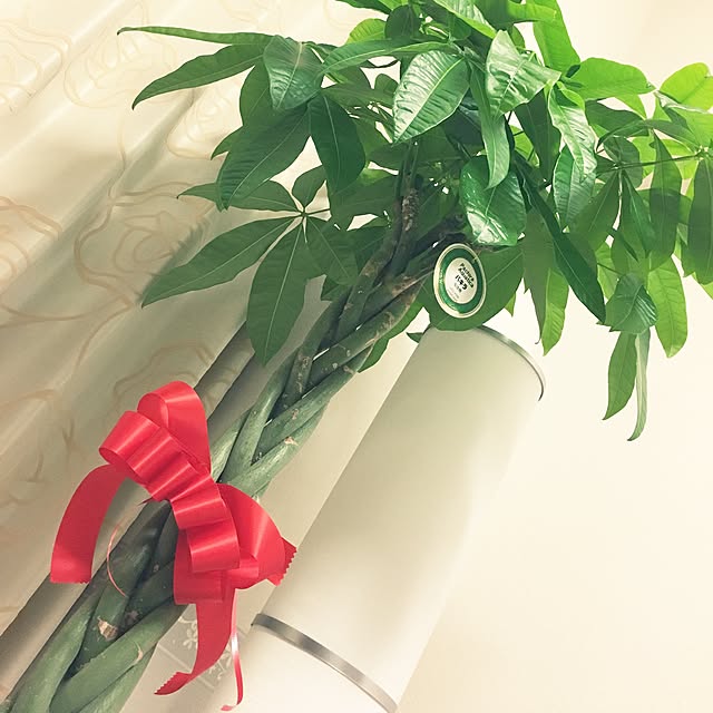 micham0112さんの実例写真