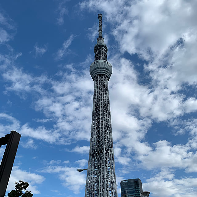 スカイツリー/玄関/入り口ではありません。/玄関/入り口のインテリア実例 - 2020-01-04 11:53:26
