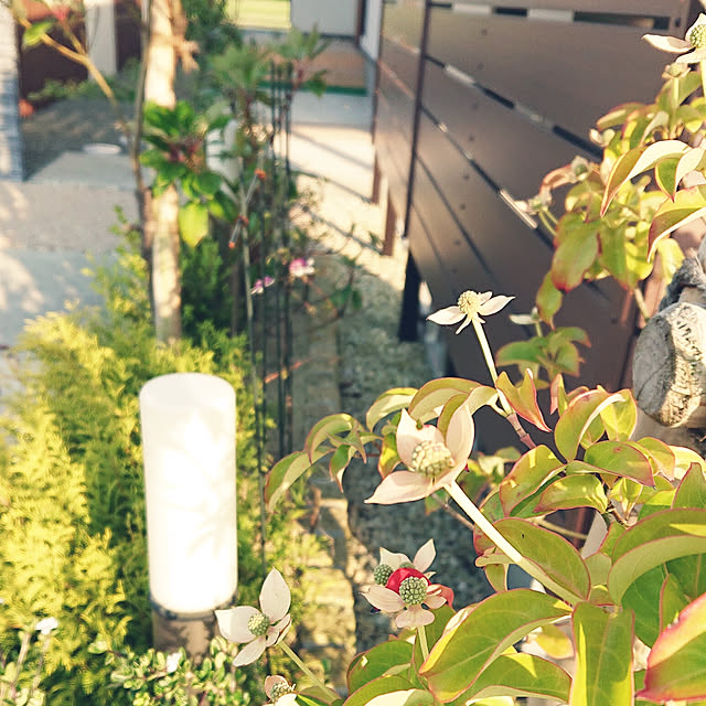 akeさんの実例写真