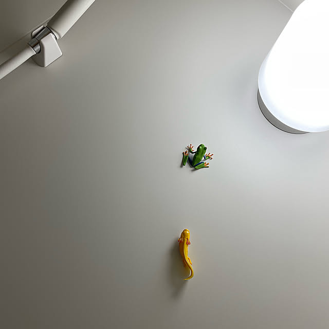 umiさんの実例写真