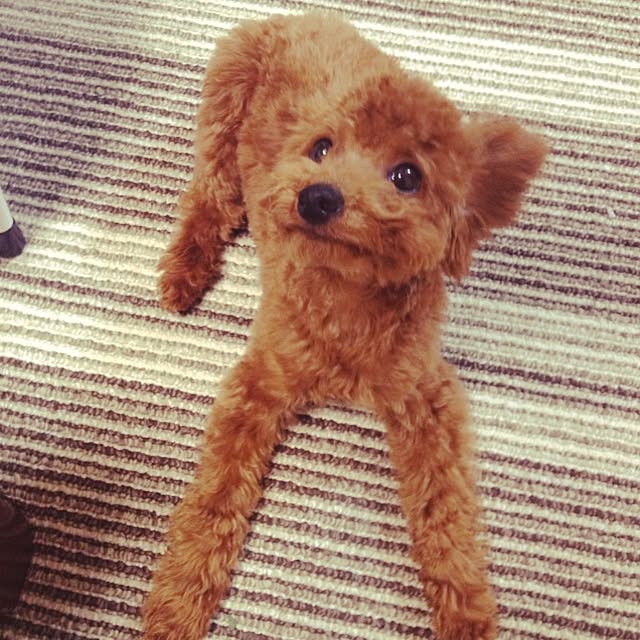 marieさんの実例写真