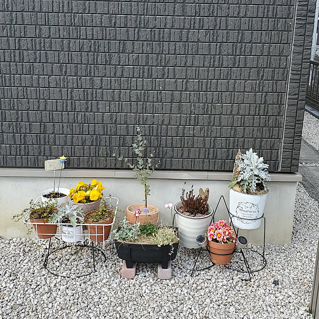 pomさんの実例写真