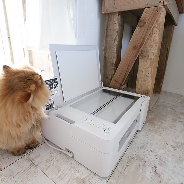 swaro109さんの部屋