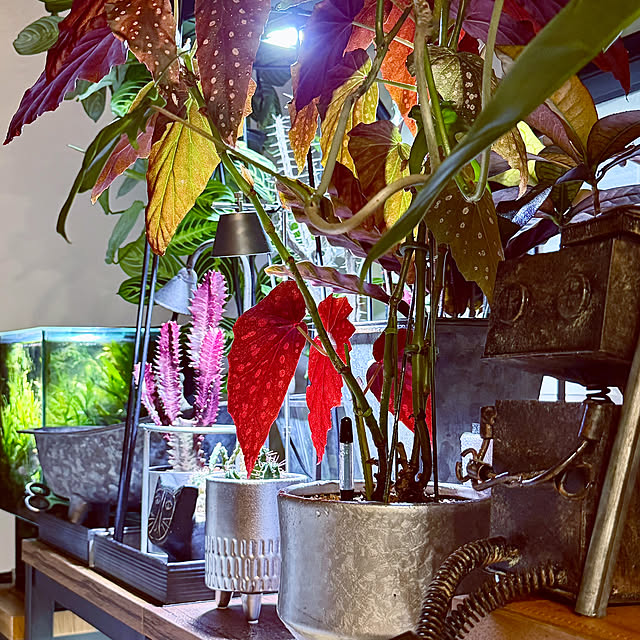 DAYONEさんの実例写真