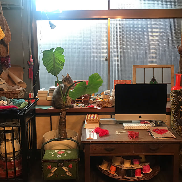 joshua.treeさんの実例写真