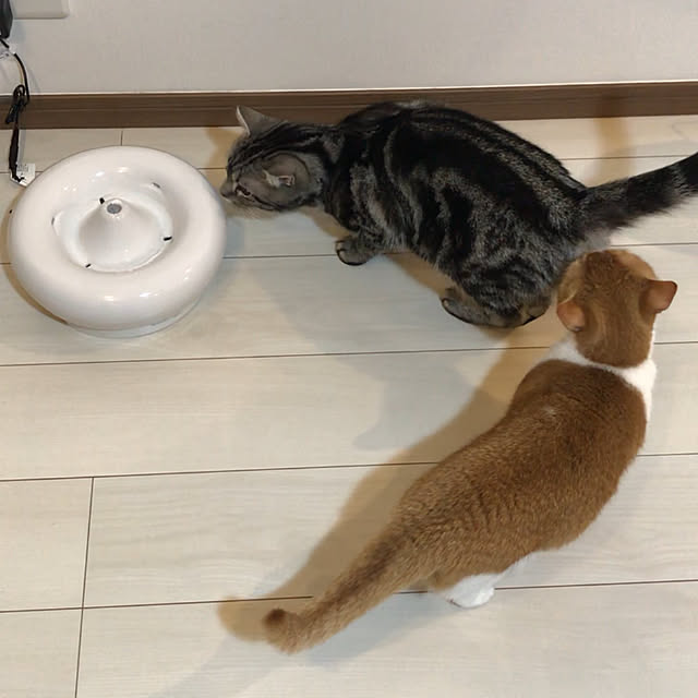 KotarouKunさんの実例写真