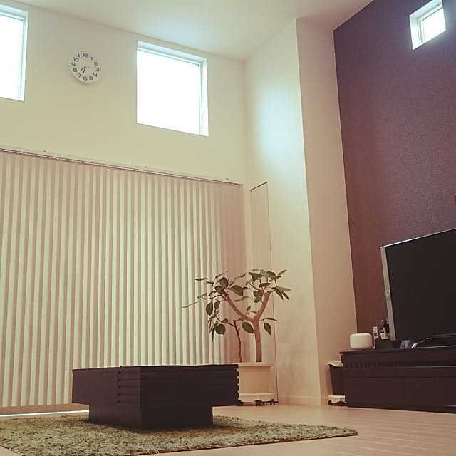 リビング/観葉植物のインテリア実例 - 2017-04-22 23:27:34
