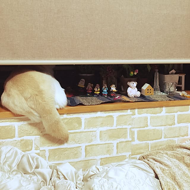 raaさんの実例写真