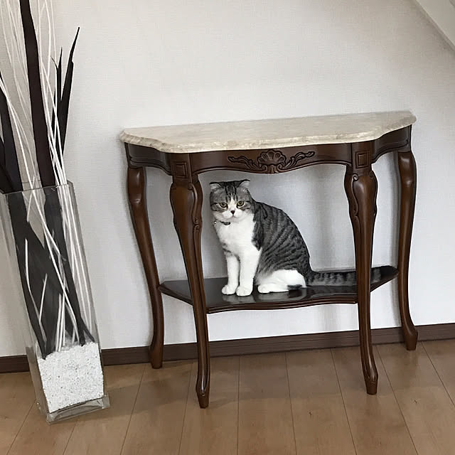 Dahliaさんの実例写真
