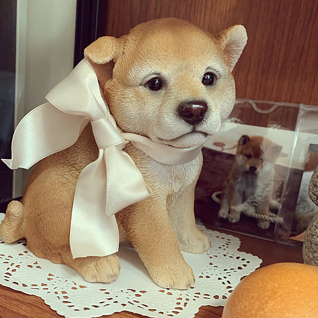 kotatsuさんの実例写真