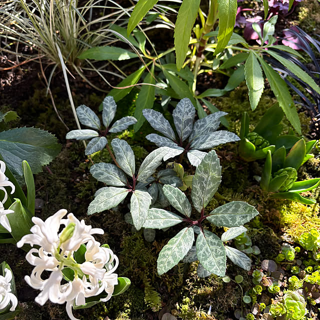 kyoko1124koさんの部屋