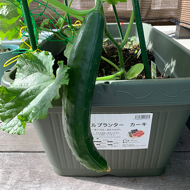 hookさんの部屋