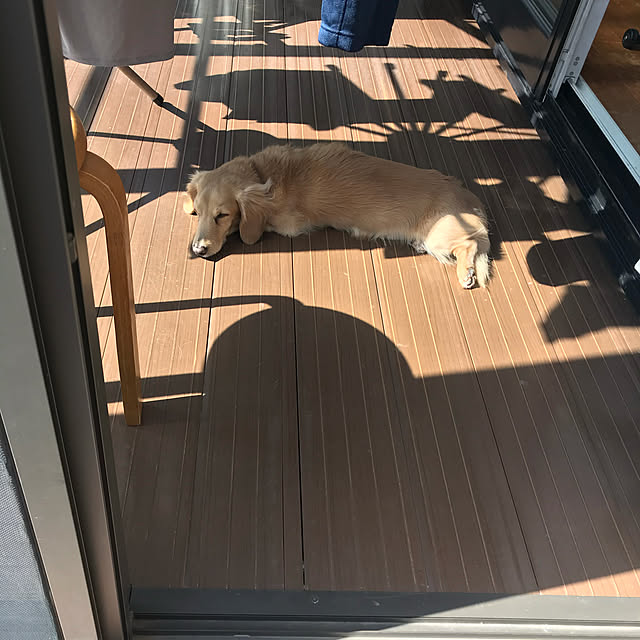 ronronさんの実例写真