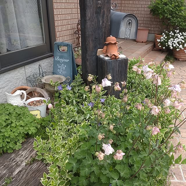 Hujikoさんの実例写真