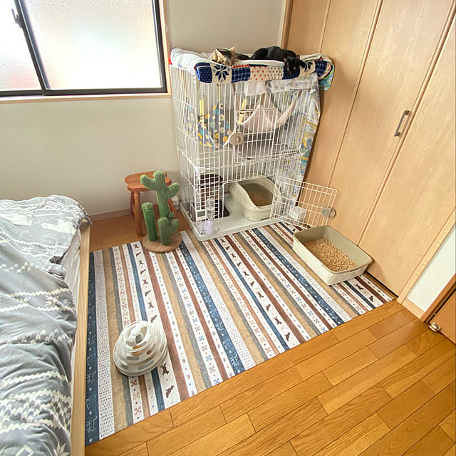 prelumoさんの実例写真