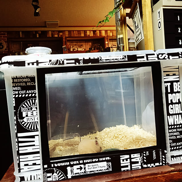 tikuwaさんの実例写真