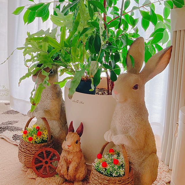Hanakaさんの部屋