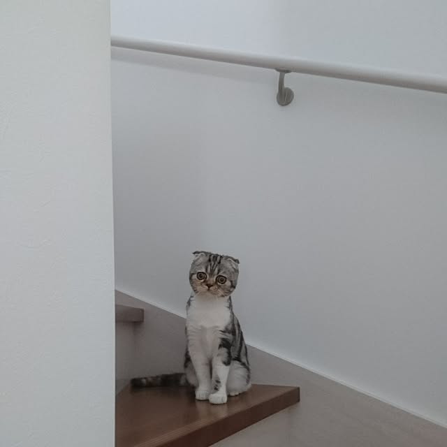 takiko0407さんの実例写真