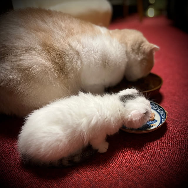 marusanさんの部屋