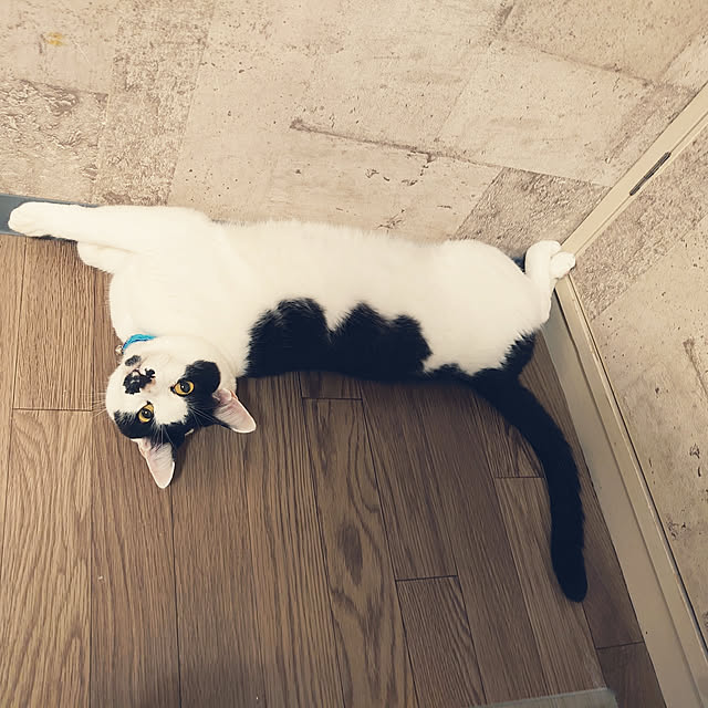 asuminさんの実例写真