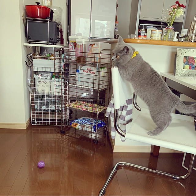 kittyさんの実例写真
