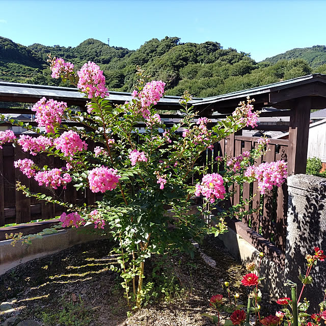 kuririnmamaさんの実例写真