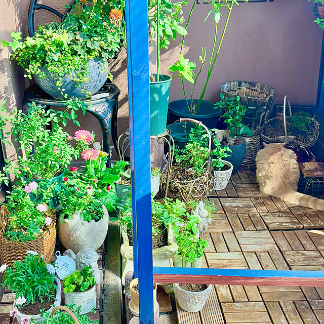 naokoさんの実例写真