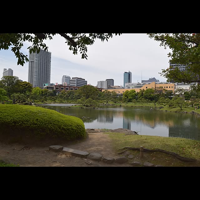 実例写真