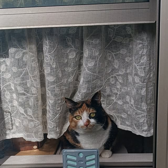aiさんの部屋