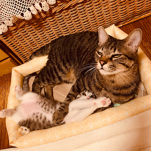 rioさんの実例写真