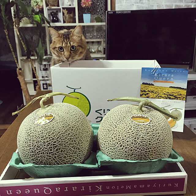 coconyantaさんの実例写真