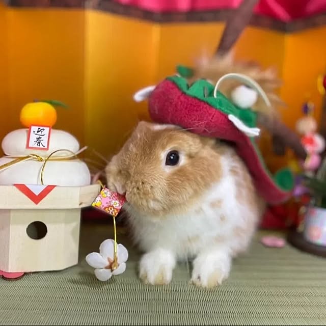 aiさんの部屋