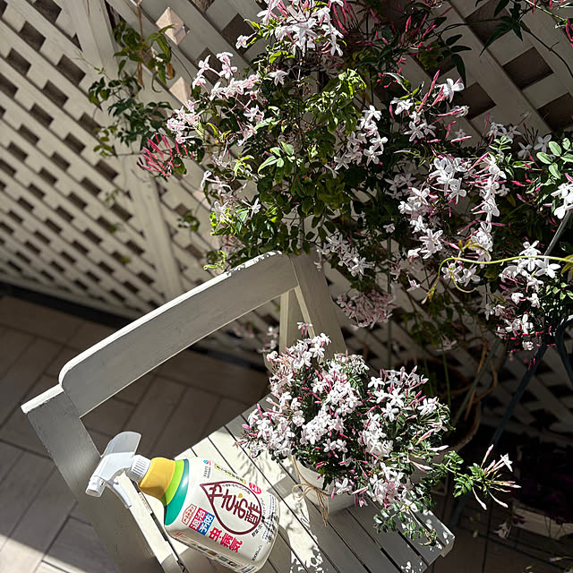 momo_sanさんの部屋