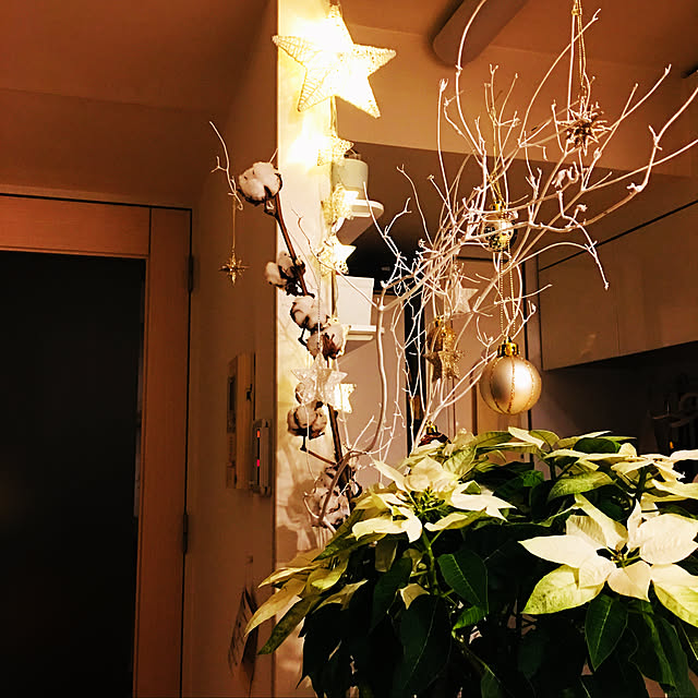 キッチン/観葉植物/雑貨/クリスマスディスプレイ/照明のインテリア実例 - 2018-12-07 09:00:01