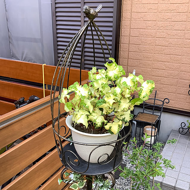 haruminさんの実例写真