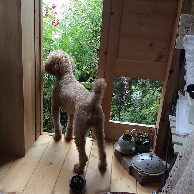 Nobukoさんの実例写真