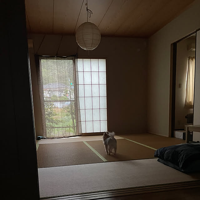 natsumiさんの部屋